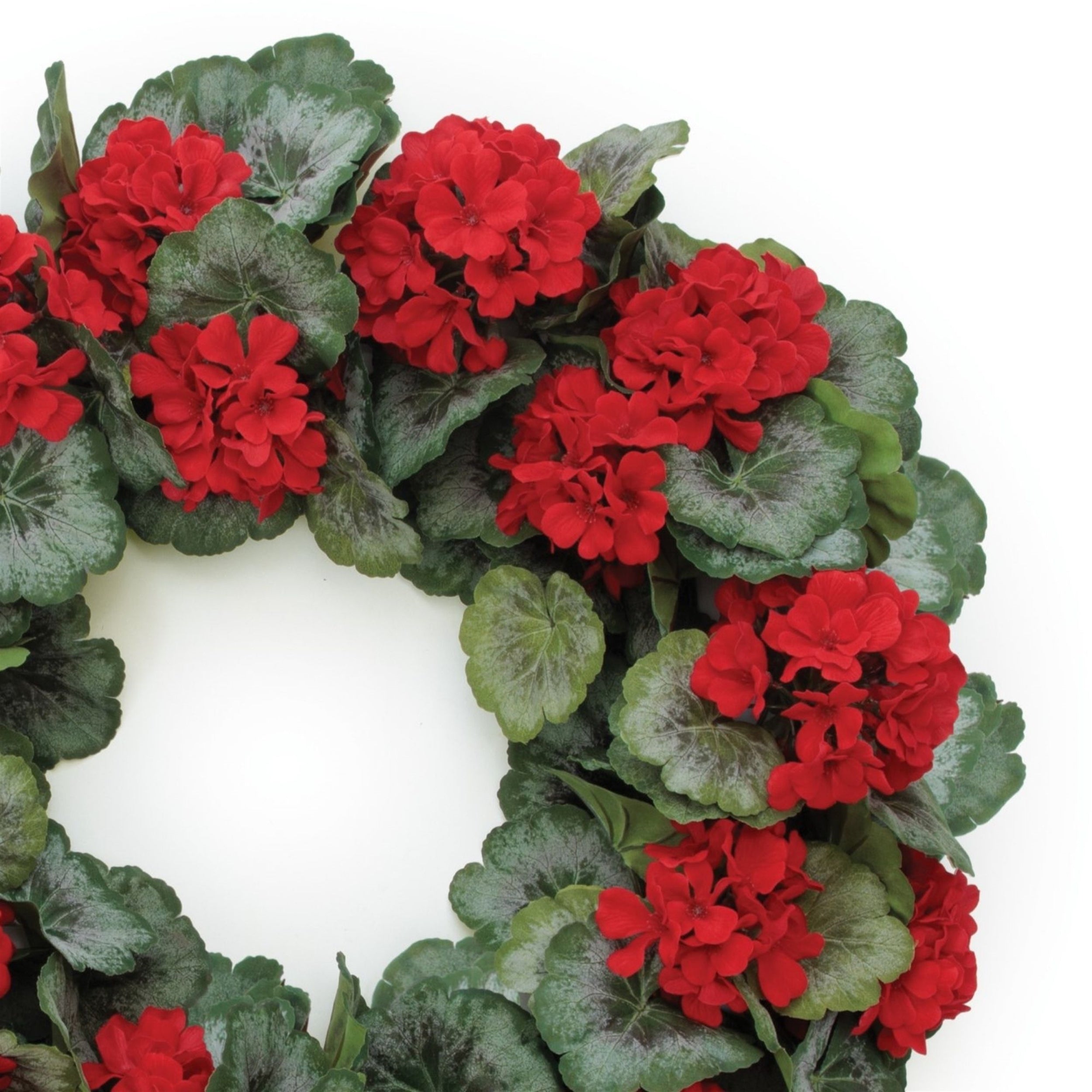 Geranium Wreath 24"D Polyester/Plastic