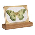 Butterfly Décor 9"L x 6"H Wood/Glass/Iron