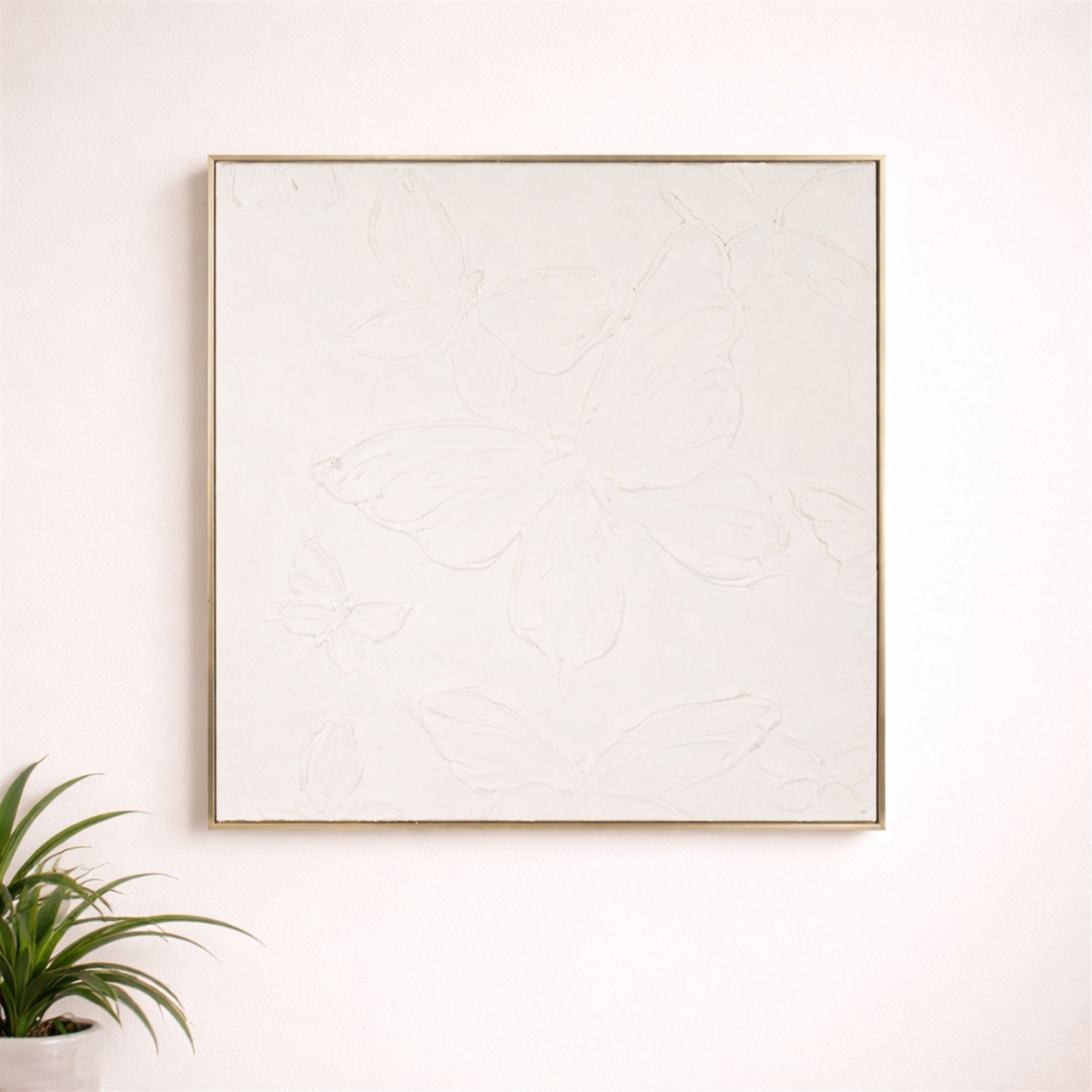 Butterfly Frame 24”SQ Canvas