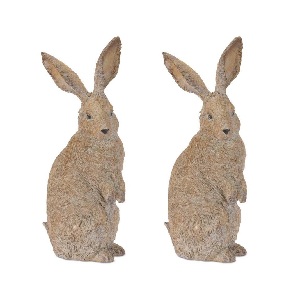 Rabbit (Set of 2) 14.25”H Resin
