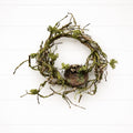 Twig Wreath With Nest 12"D