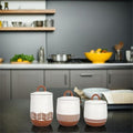 Natural Home Stoneware and Terracotta Color Canister Set-3 pcs