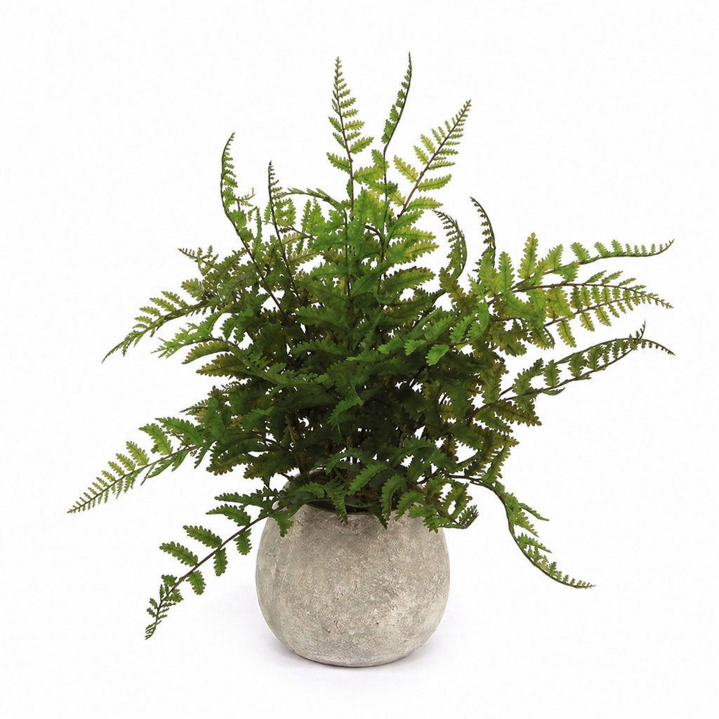 Potted Fern Plant in Grey Pot (Set of 3)