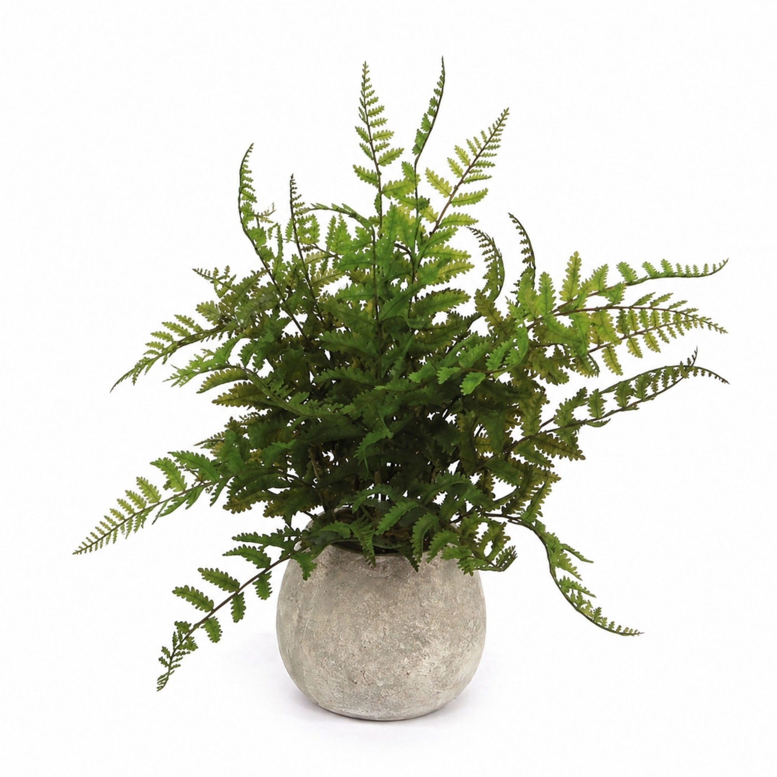 Potted Fern Plant in Grey Pot (Set of 3)