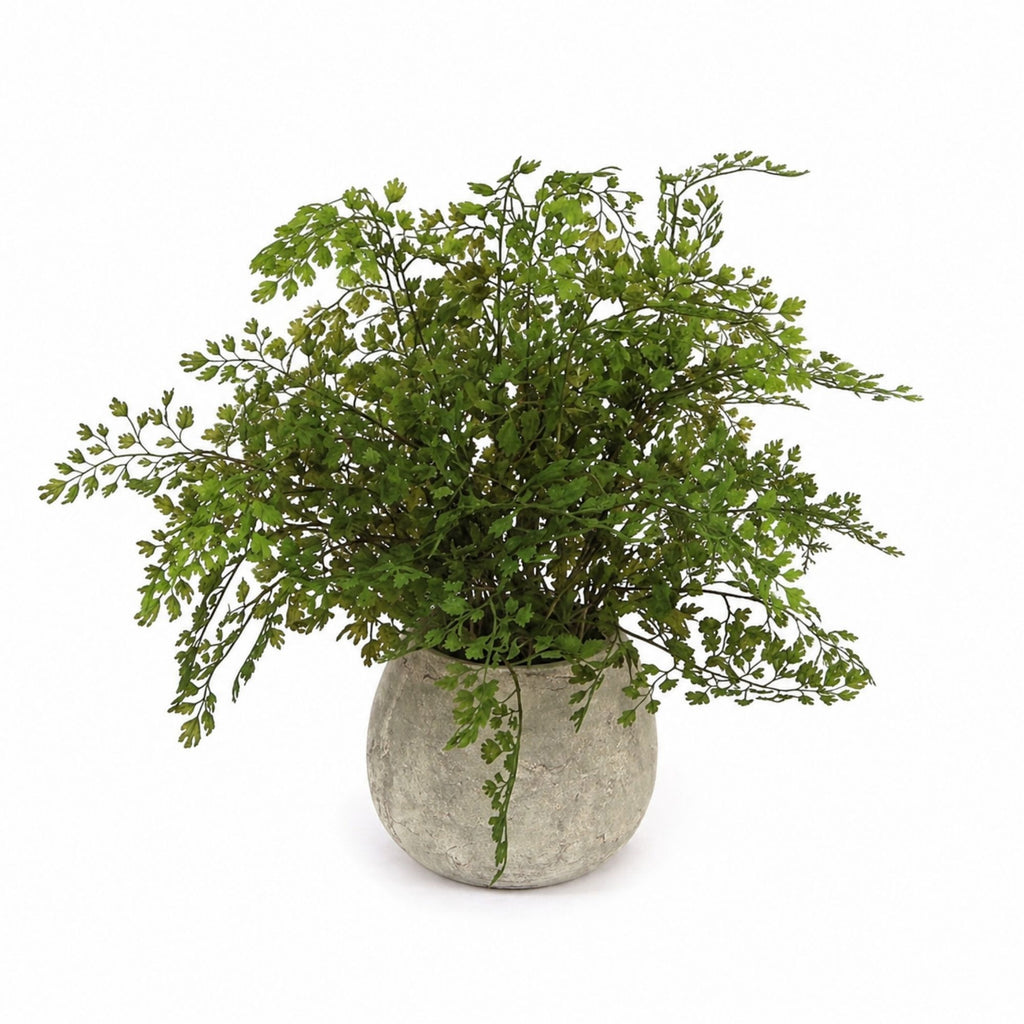 Potted Fern Plant in Grey Pot (Set of 3)