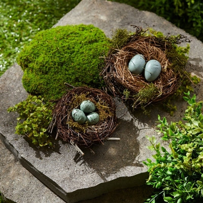 Birds Nest with Eggs (Set of 12)