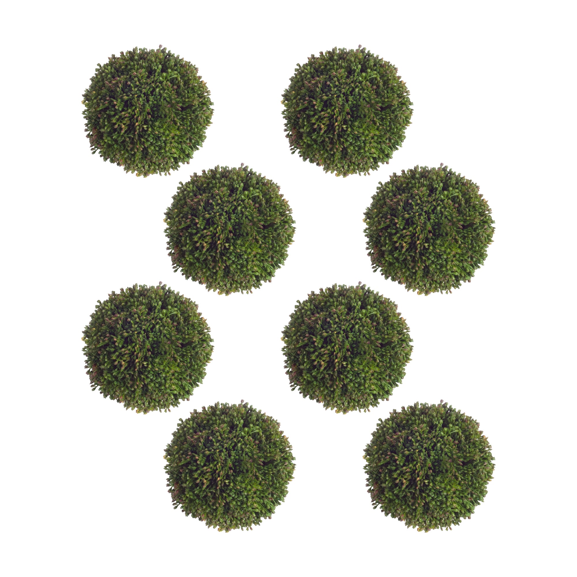 Boxwood Sedum Orb (Set of 8) 4"H