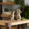 Carved Stone Garden Rabbit Figurine (Set of 2)
