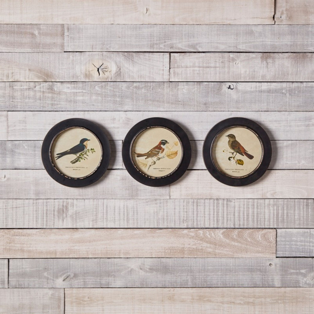 Wood Framed Encyclopedia Bird Print (Set of 3) 9.5"D