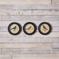 Wood Framed Encyclopedia Bird Print (Set of 3) 9.5"D