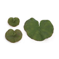 Assorted Bag of Leaves Filler (Set of 12)