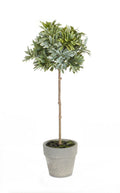 Potted Herb (Set of 2)