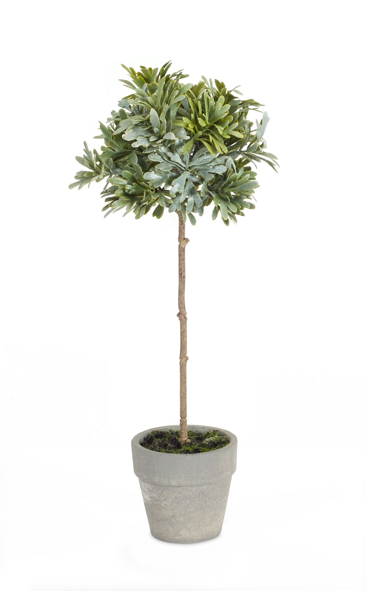 Potted Herb (Set of 2)