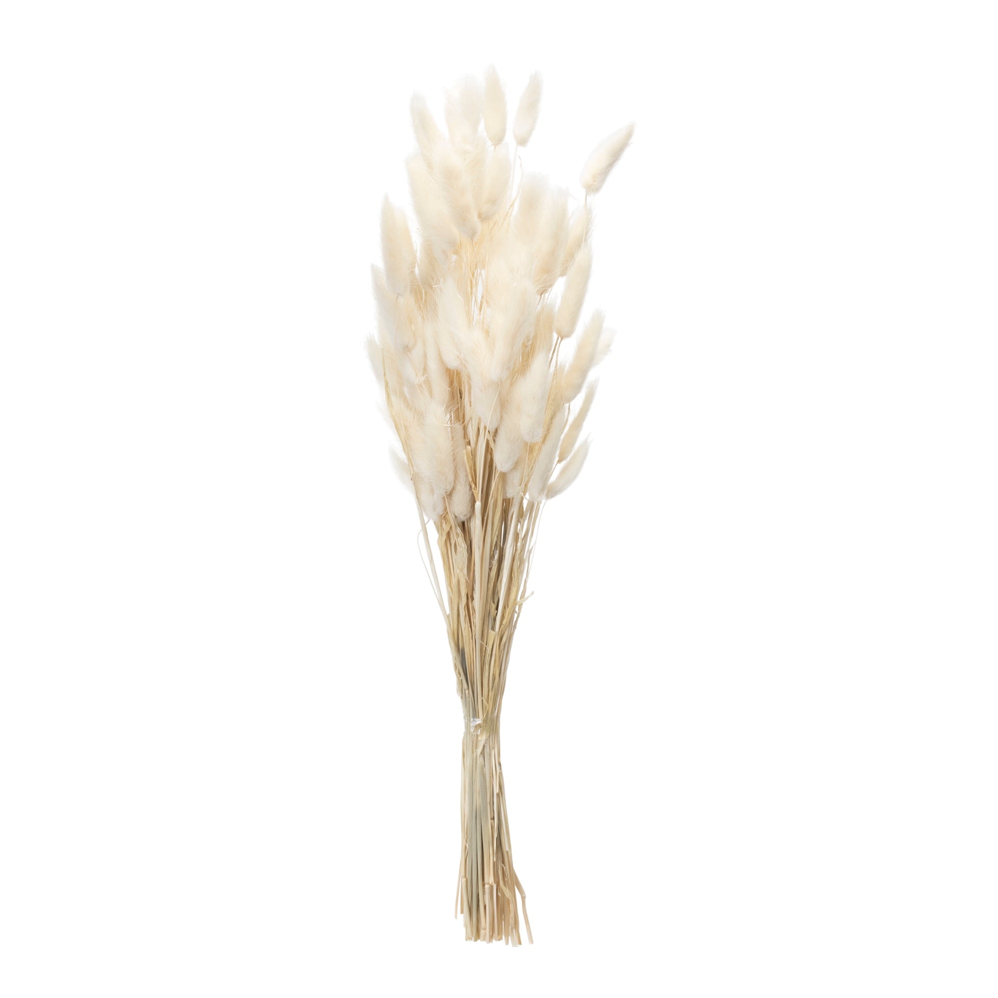 Bunny Tail Bundle (Set of 2)