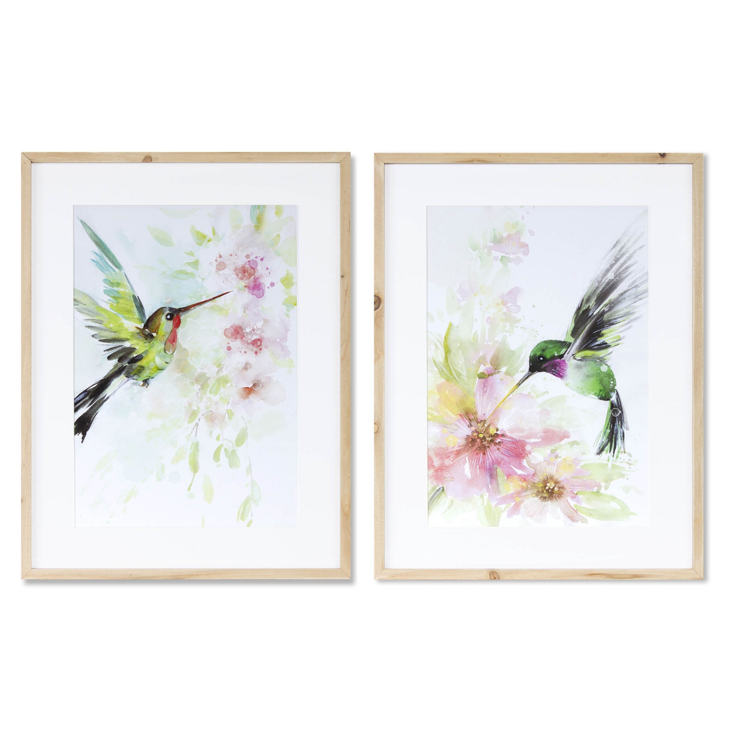 Framed Hummingbird Print (Set of 2)