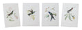 Tabletop Encyclopedia Hummingbird Print (Set of 4)