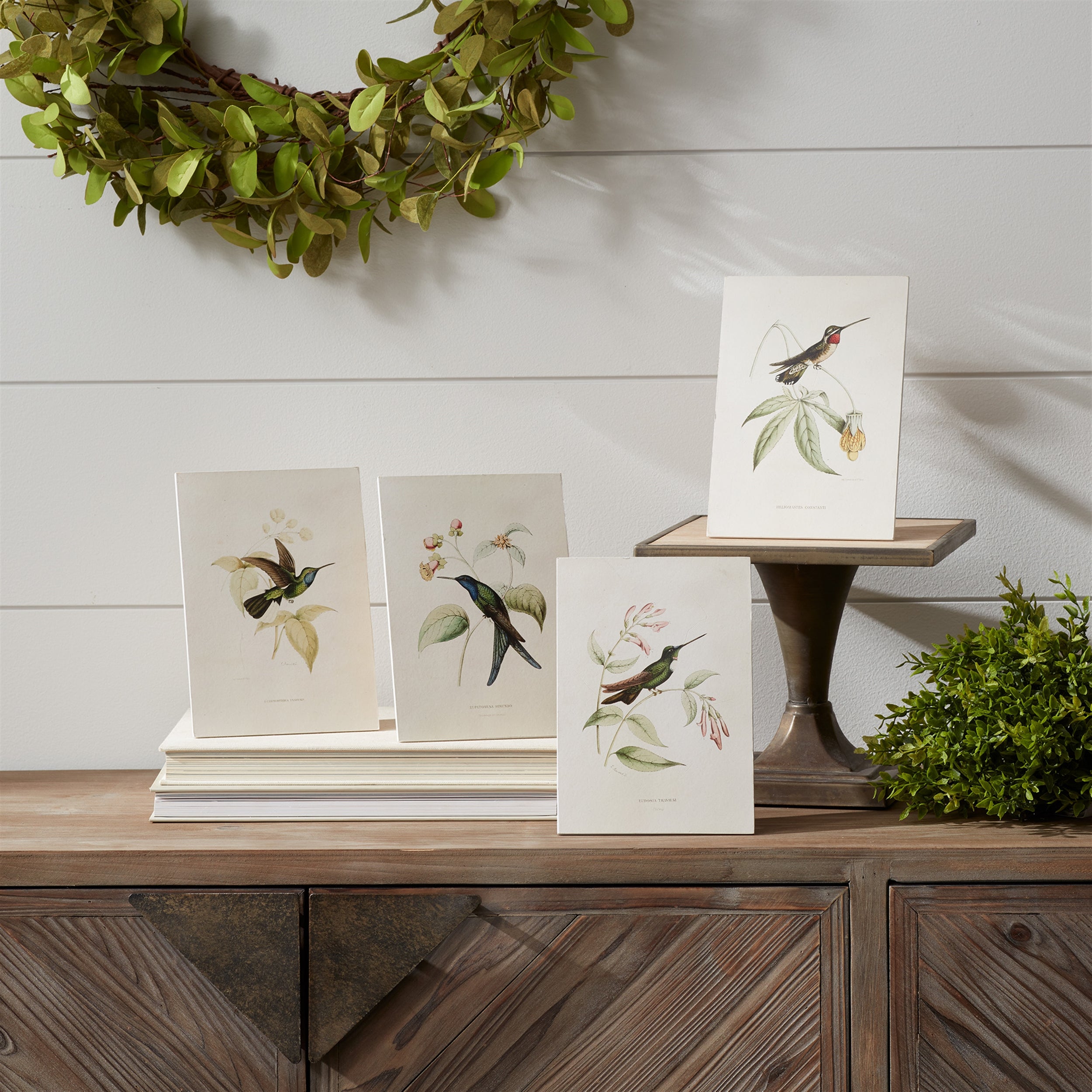 Tabletop Encyclopedia Hummingbird Print (Set of 4)