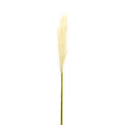 Cream Pampas Gass Stem (Set of 4)