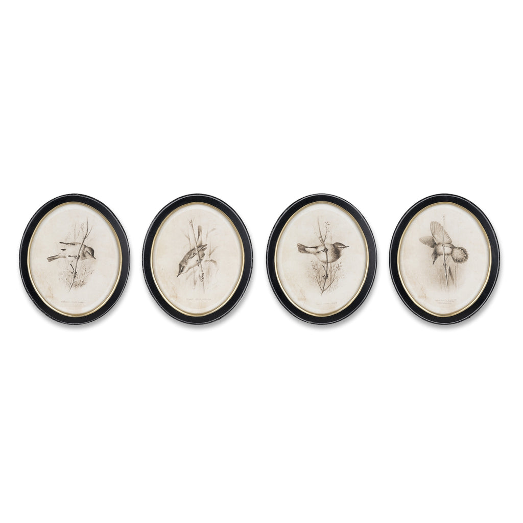 Framed Bird Print (Set of 4)
