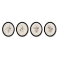 Framed Bird Print (Set of 4)