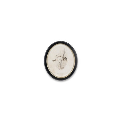 Framed Bird Print (Set of 4)