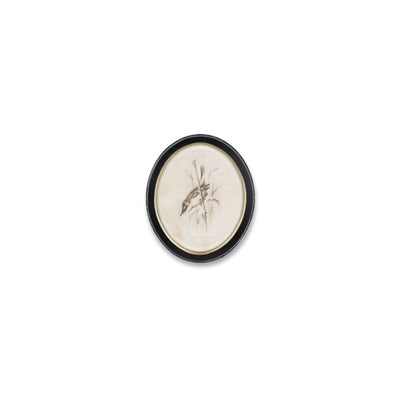 Framed Bird Print (Set of 4)