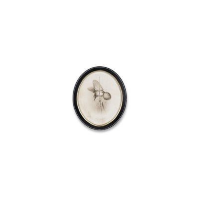 Framed Bird Print (Set of 4)