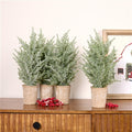 Frosted Holiday Pine Tree in Paper Pot (Set of 4)