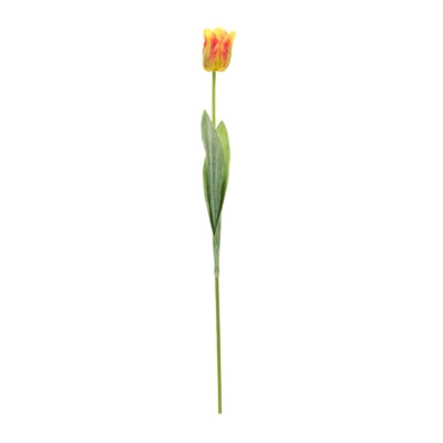 Tulip Floral Stem (Set of 6)