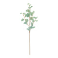 Blue Silver Dollar Eucalyptus Leaf Spray (Set of 6)