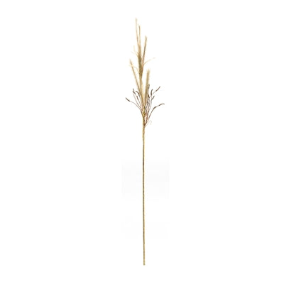 Foxtail Grass Spray (Set of 2)
