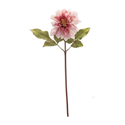 Blush Pink Dahlia Flower Stem (Set of 6)