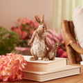 Stone Mother Rabbit and Baby Bunny Figurine (Set of 2)