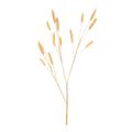 Bunny Tail Spray (Set of 6)