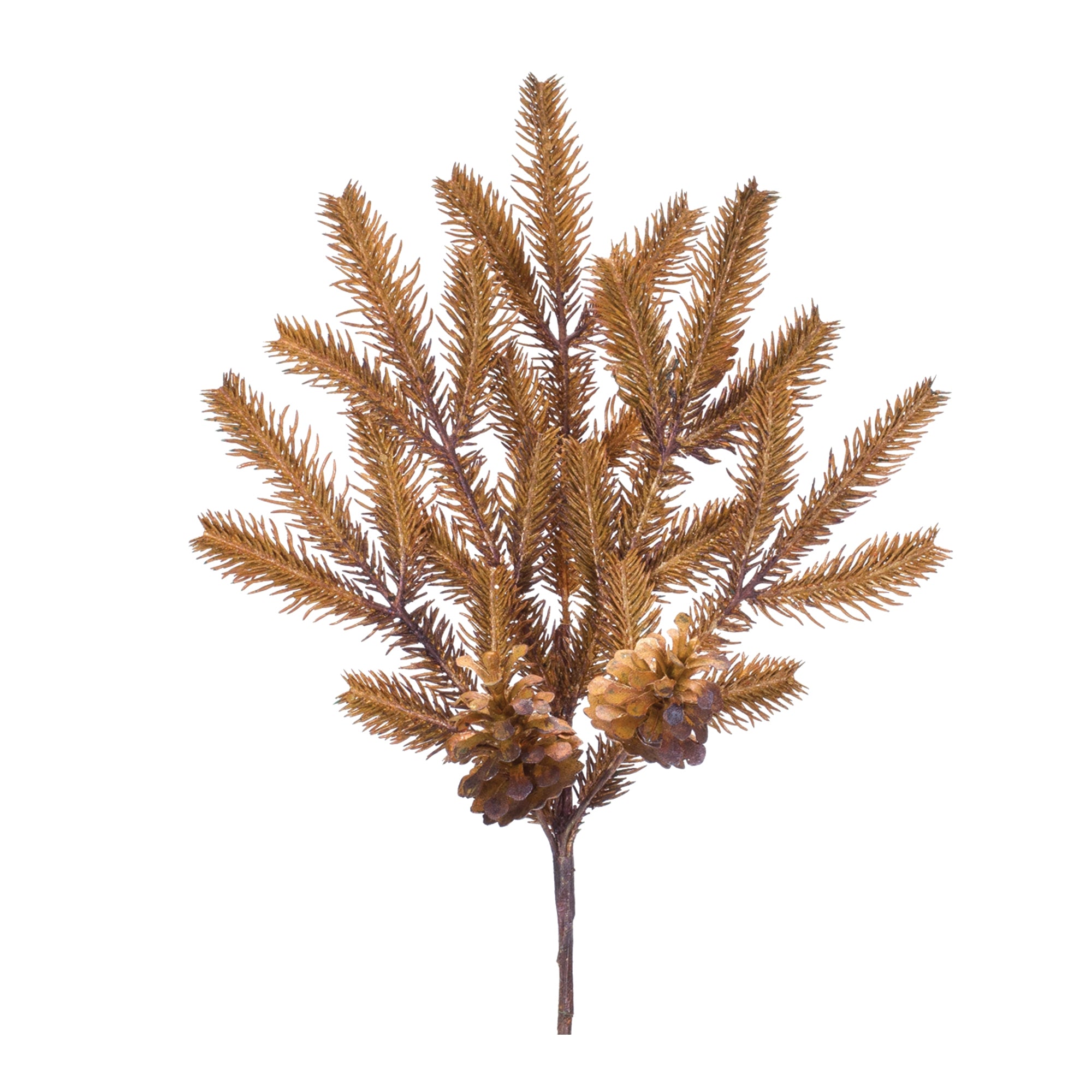 Pine Spray (Set of 12)
