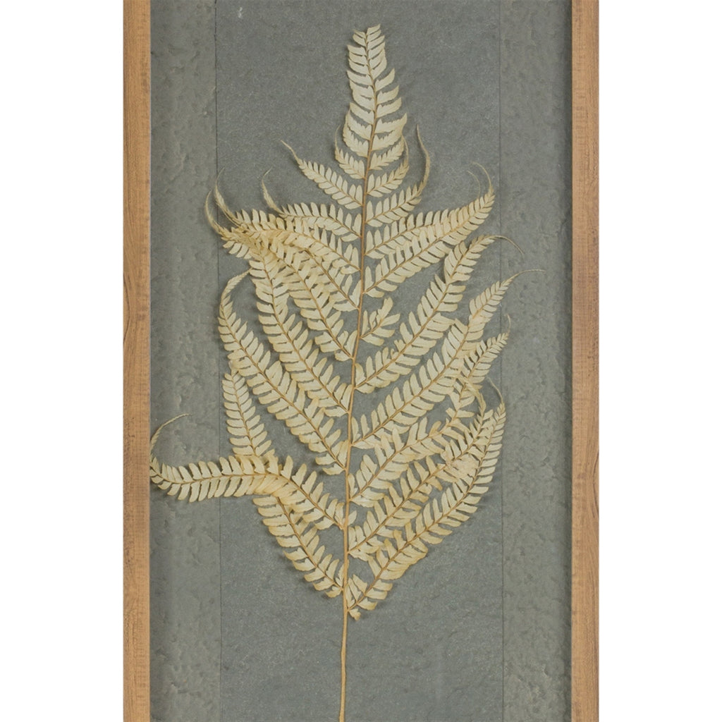 Dried Fern Frame (Set of 2)
