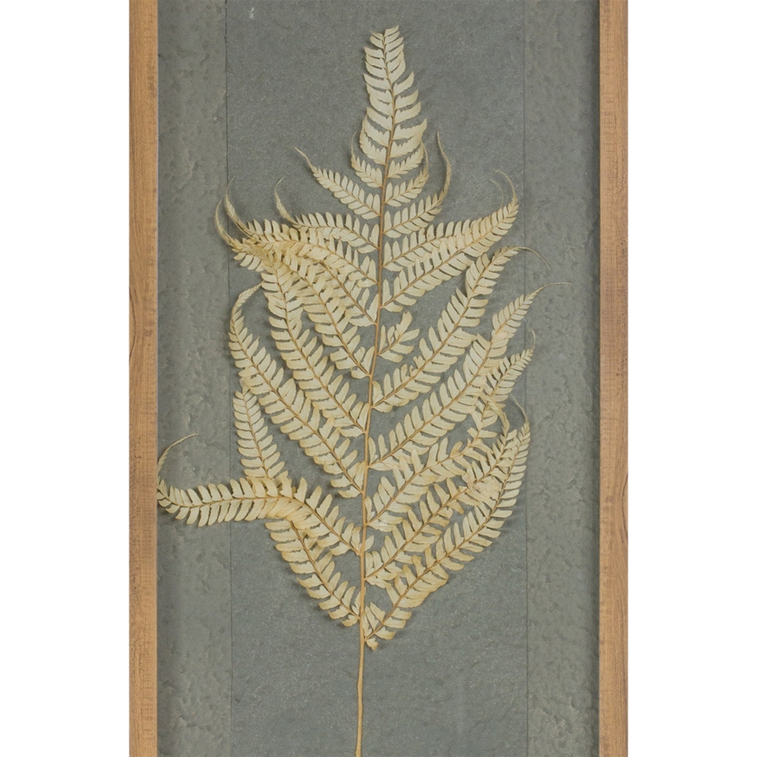 Dried Fern Frame (Set of 2)