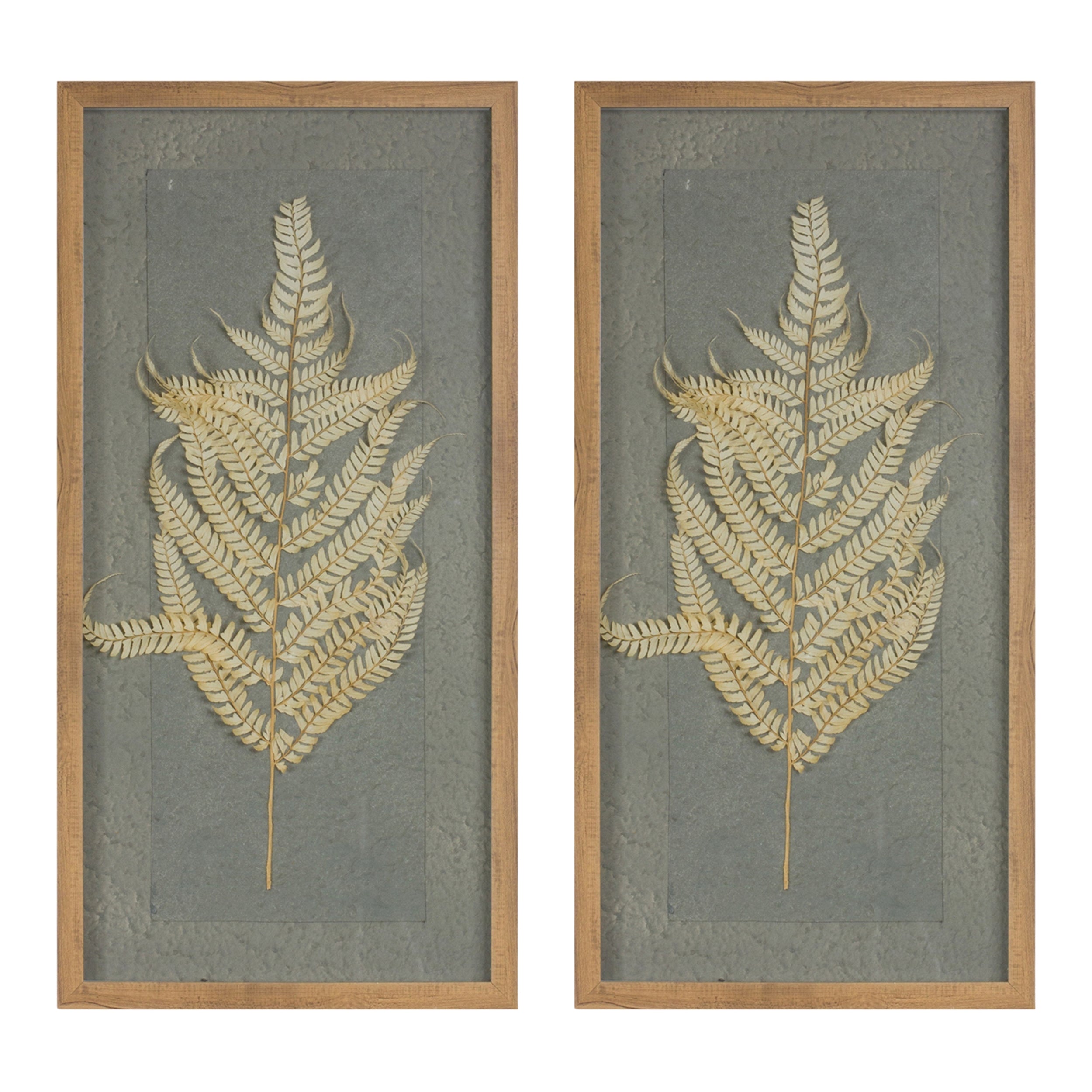 Dried Fern Frame (Set of 2)