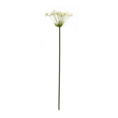 Queen Anne's Lace Stem (Set of 2)