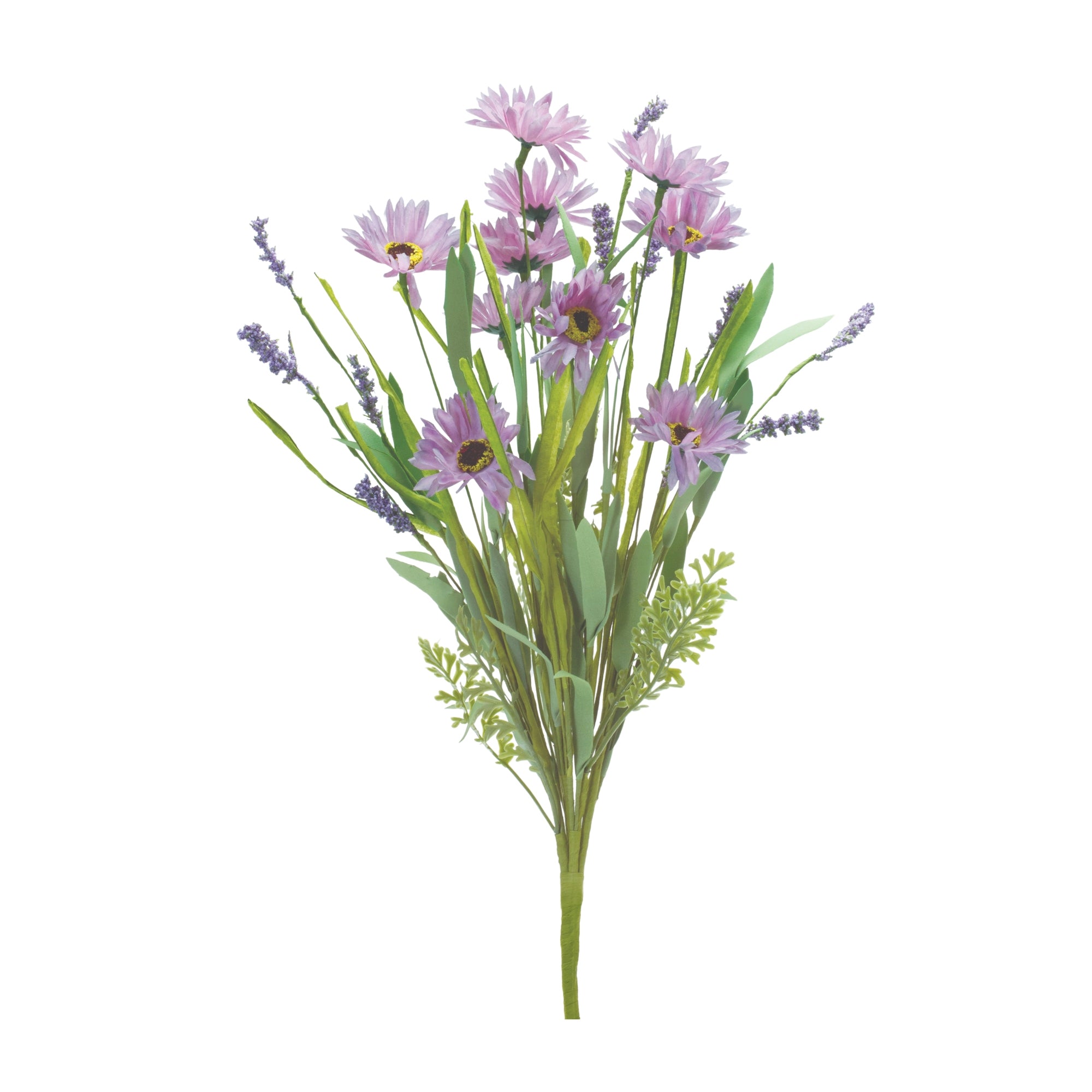 Mixed Daisy Bush (Set of 6)