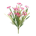 Mixed Daisy Bush (Set of 2)
