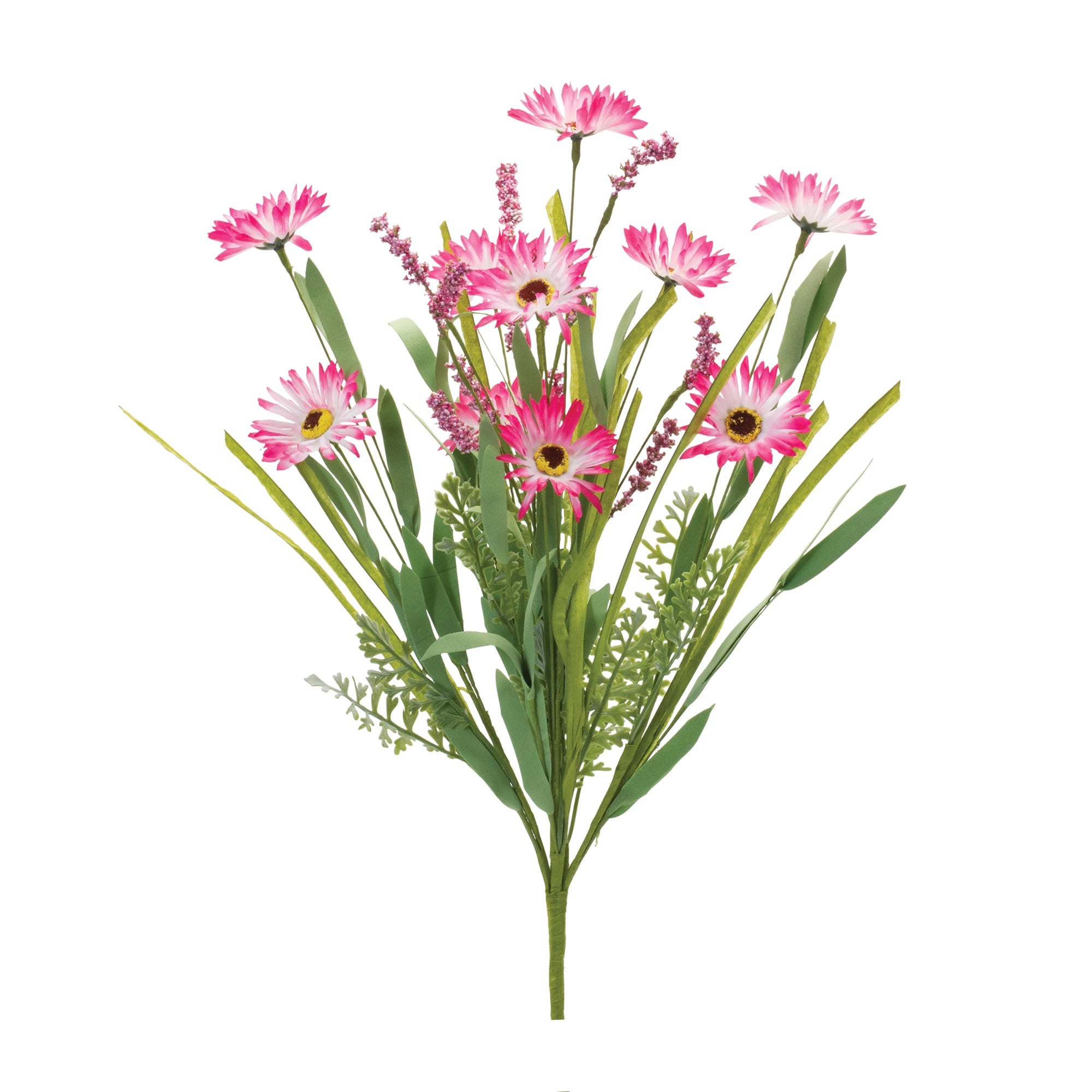 Mixed Daisy Bush (Set of 2)