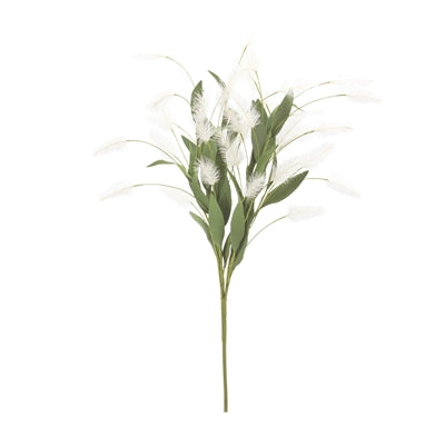 White Plume Bush (Set of 2)