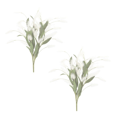 White Plume Bush (Set of 2)