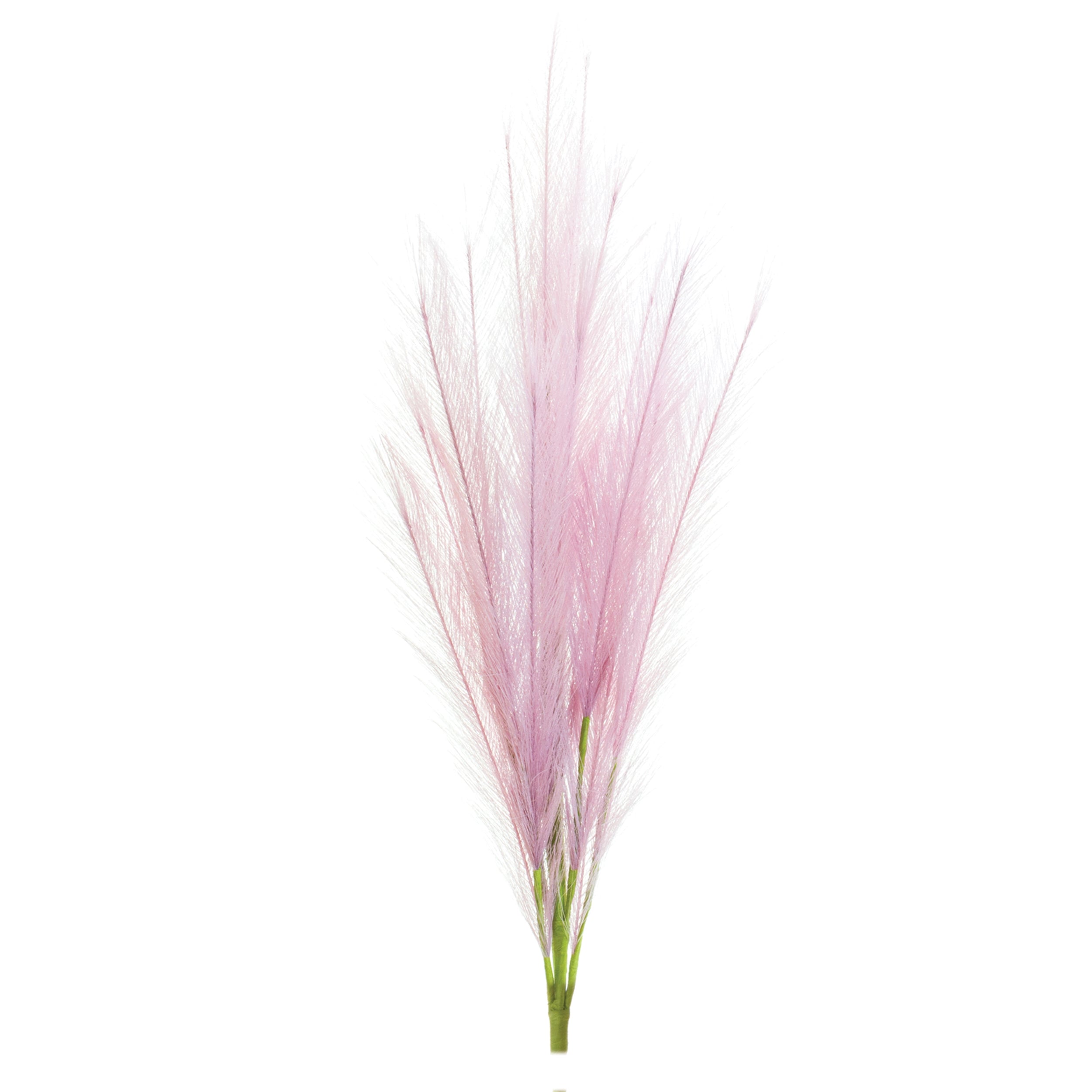 Plume Spray (Set of 6)