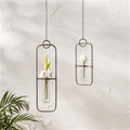 Hanging Bottle Vase in Metal Frame (Set of 2)