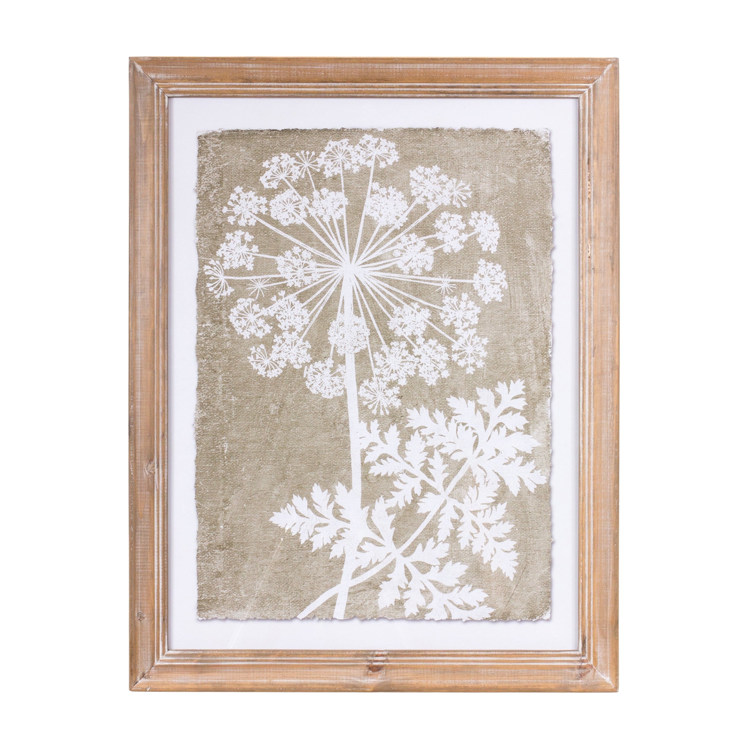 Framed Queen Anne's Lace and Fern Wall Art (Set of 2)