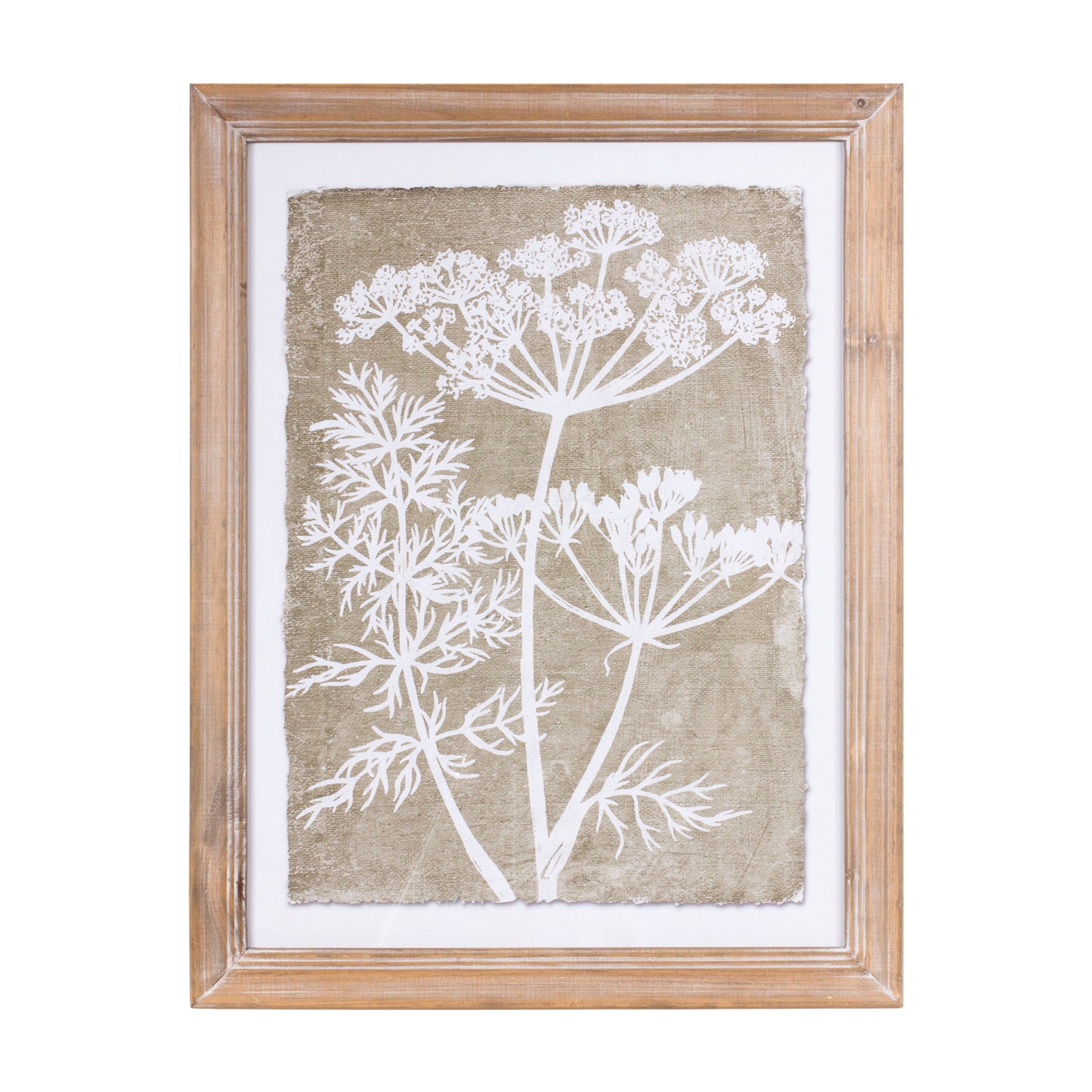 Framed Queen Anne's Lace and Fern Wall Art (Set of 2)
