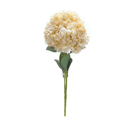 Hydrangea Bush (Set of 2)