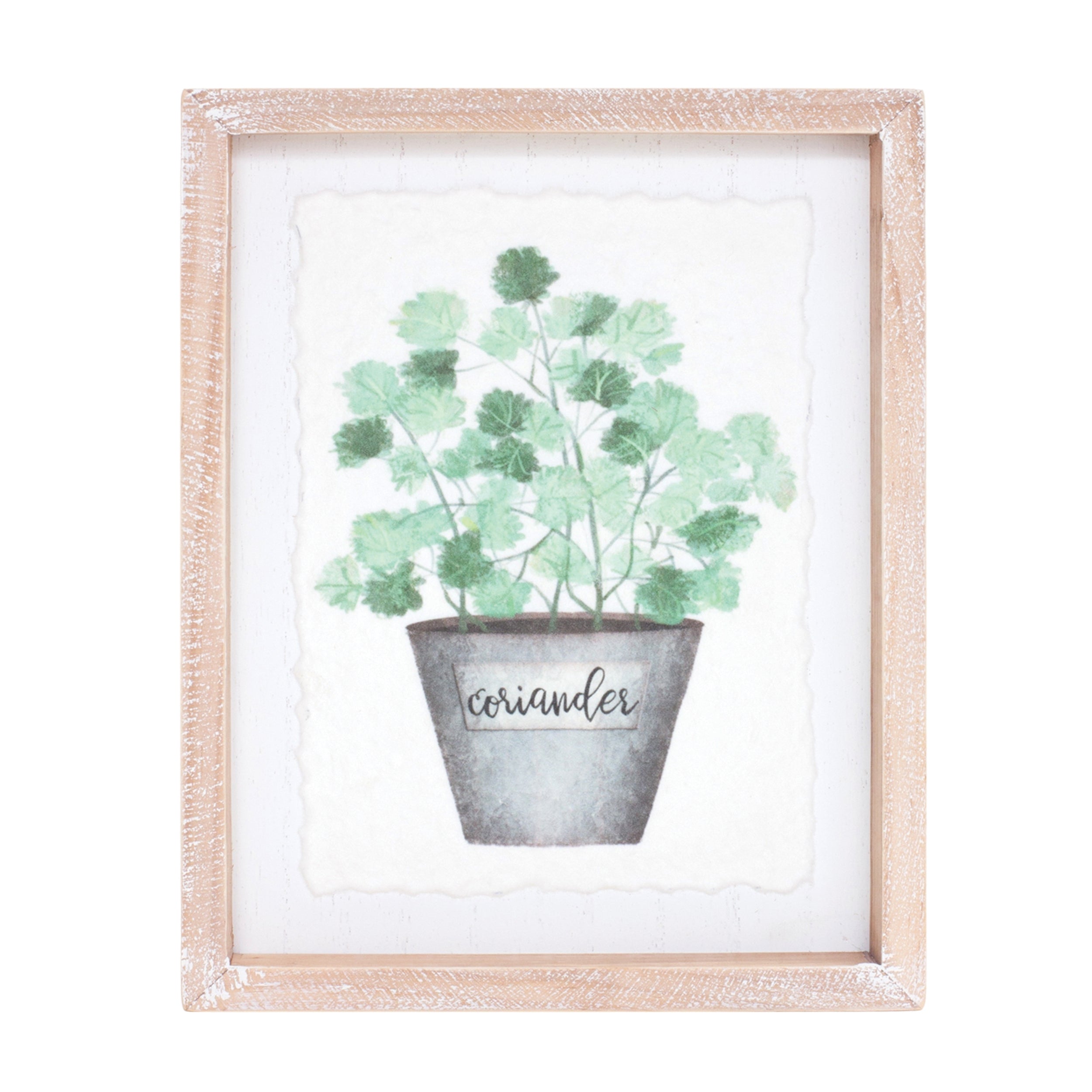 Framed Watercolor Herb Print (Set of 4)
